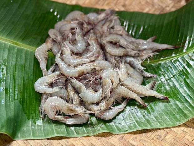 Camarón crudo fresco