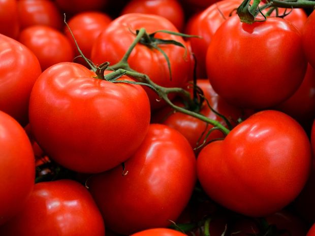 Tomates rojos frescos